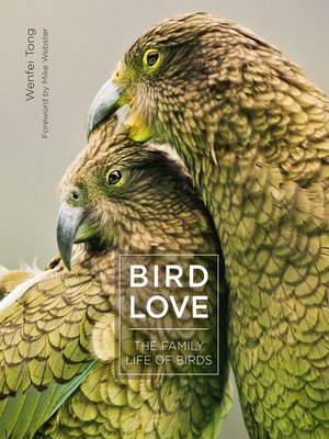 cover image of Bird Love